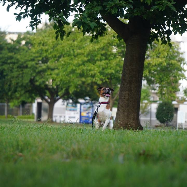 51ee026b 2d7e 4576 bd6a 3504cc4ecfe7 1534896042816