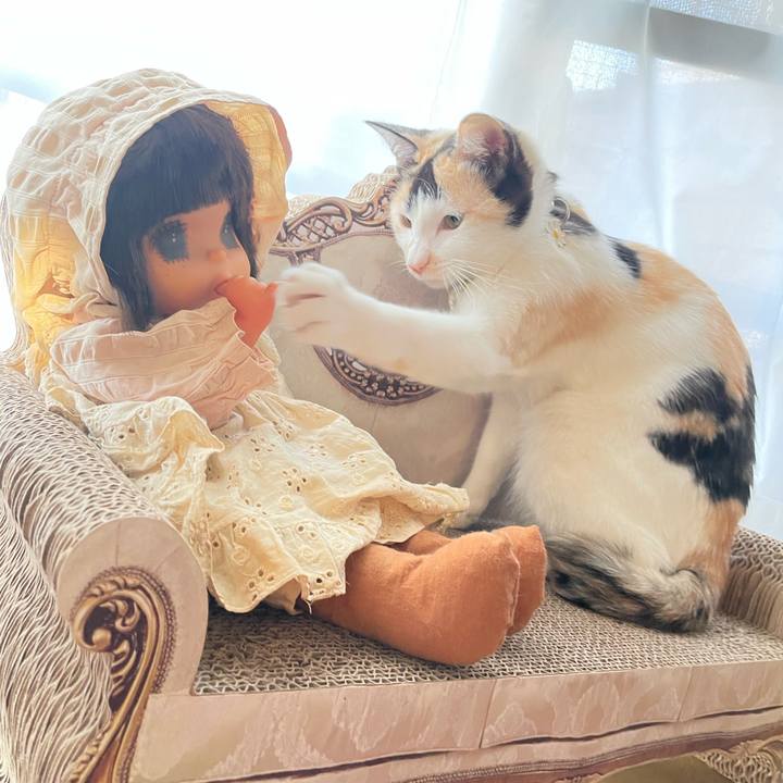 51ee72a2 e77e 4a03 bd10 618c596d0f35 1678140605890