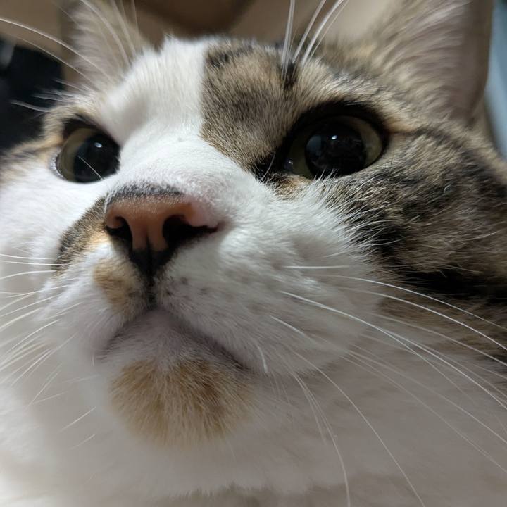 51ee8ccb fb5f 4fca 9af0 3bdf468ca9de 1760956107997