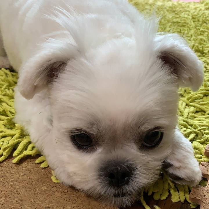 51eec40f e96e 4db6 9fd4 220931ea5cb2 1633098430002