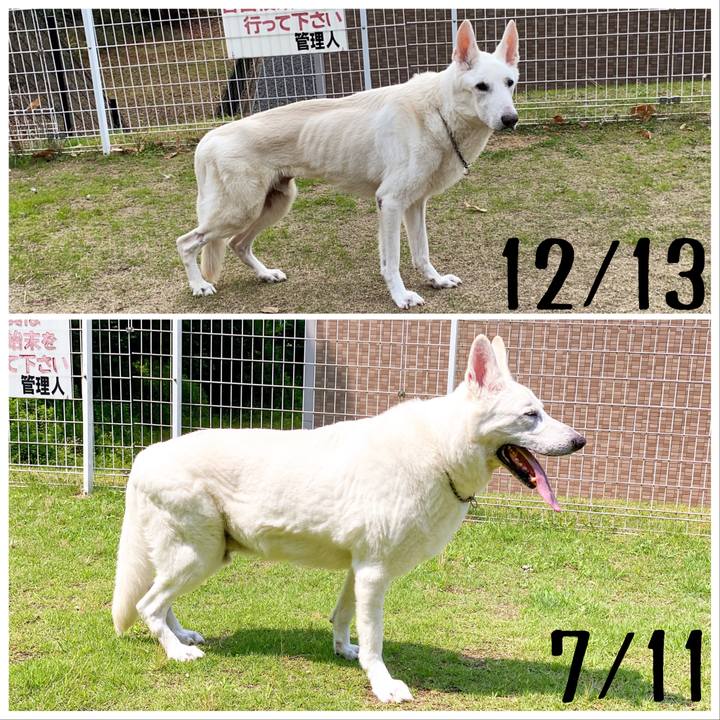 51eed80a 5fab 40d5 a501 c3697525d815 1625967822283