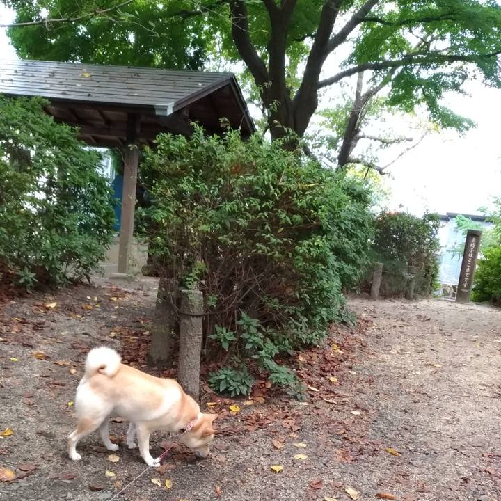 51eee1b4 68eb 492f 8c5f 8ebac2621dd8 1603094562918