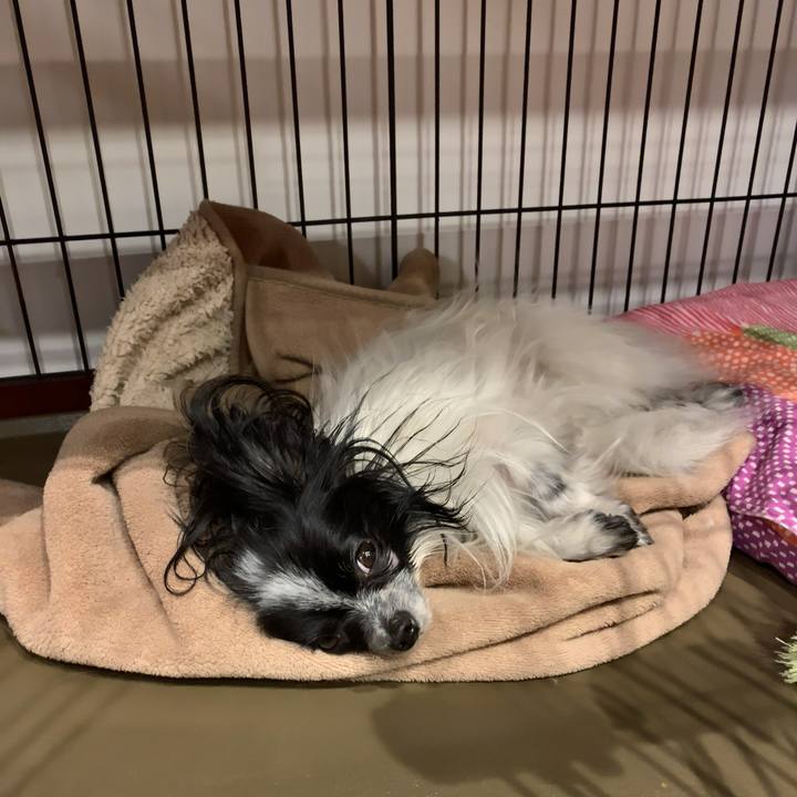 51eef899 8b3f 4d60 918f 7028af57b40a 1542545870964