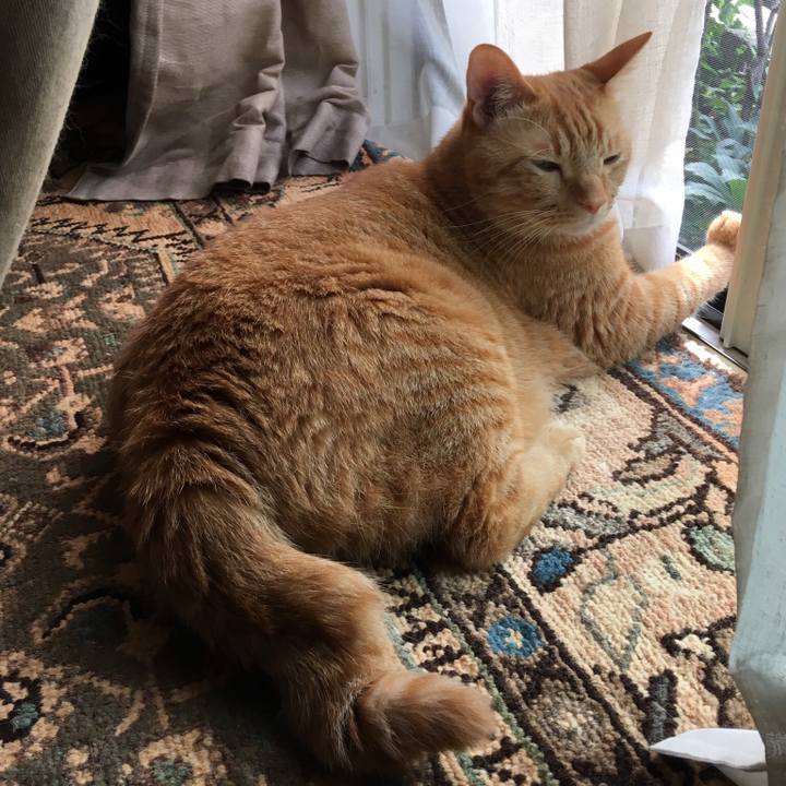 51ef0fa4 9463 4920 b83b 9926d05588ab 1532215055295