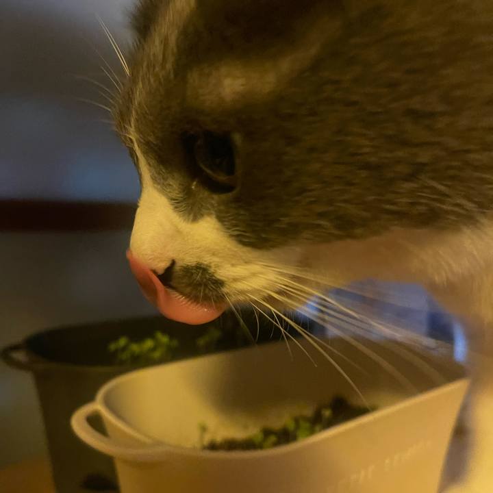 51ef19f2 9900 445f 8ed9 34bf0e621f07 1728458059466