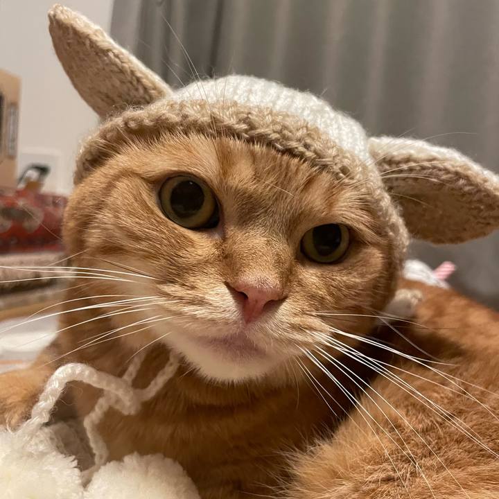 51ef1a01 e98b 420b 95ee b8537b8e5b17 1765510608882