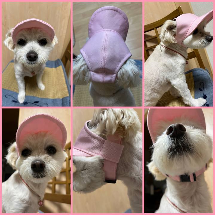 51ef2575 c093 4ba1 bd75 94048138d5bd 1655176025774