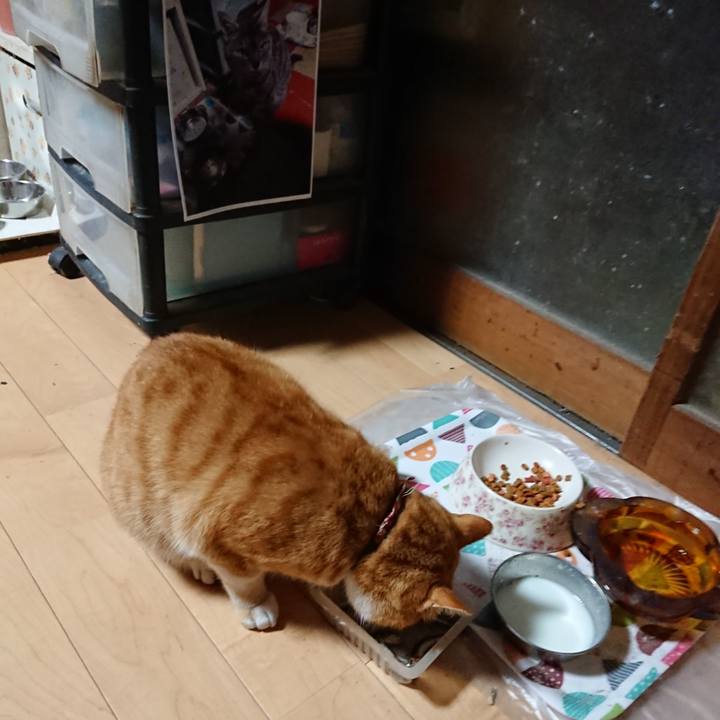 51ef4988 4623 45d8 b63e 2f361cfca471 1605729477571