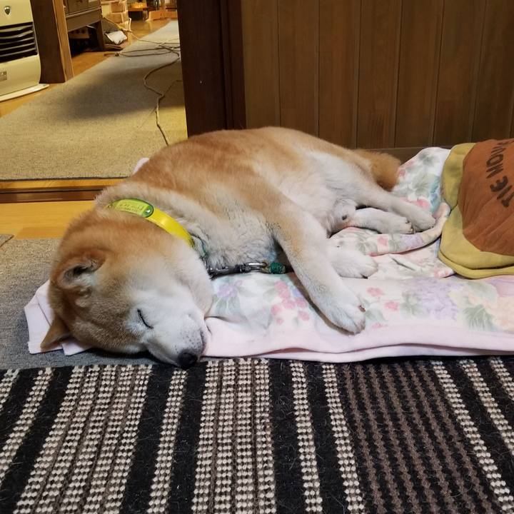 51ef527f cb1b 40bf ba45 f33bab868906 1685787443106