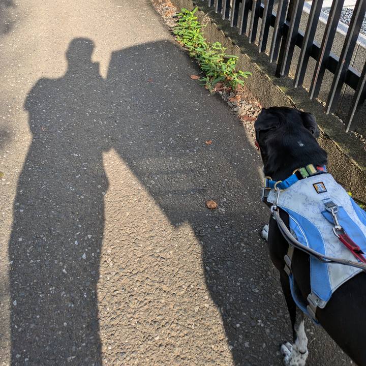 51ef5c42 50bc 44c3 b572 377eb39d9969 1722468972698