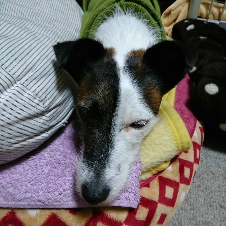 51ef6ea5 58de 4c89 ad33 327d1869db8d 1512081803770