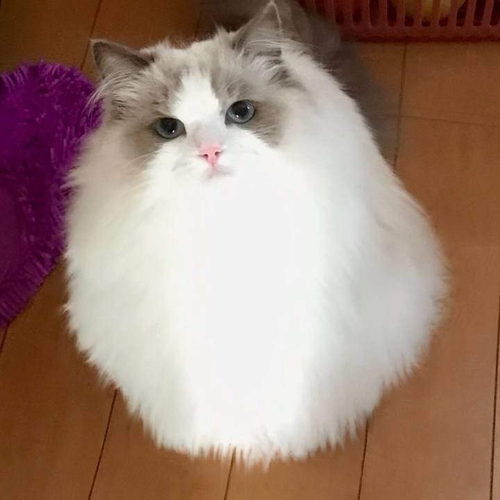 51ef9c10 e94f 4617 a525 0489c46bc413 1637289035370