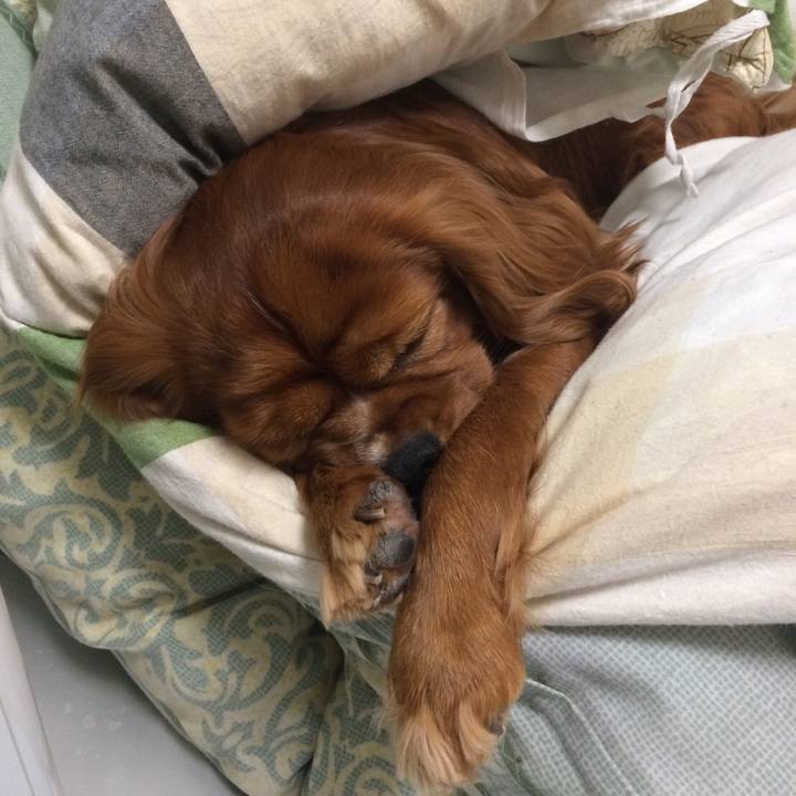 51efa5ff 1874 4de7 9435 7f0397d799e0 1609336243389