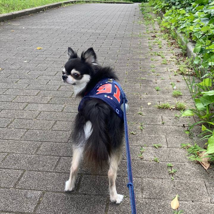 51efcbfc 4bcc 4d5c ae39 e0543a6b720d 1717915037382