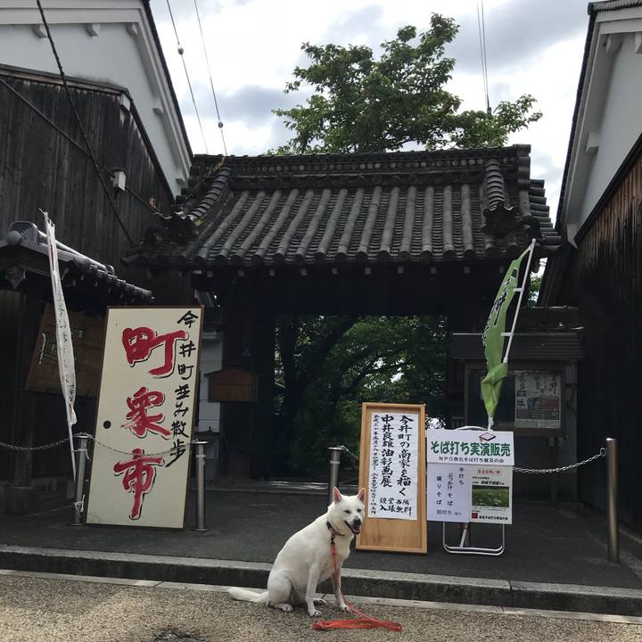 51efcc6e 5803 461e bcb7 cc6cbd818738 1526822180604