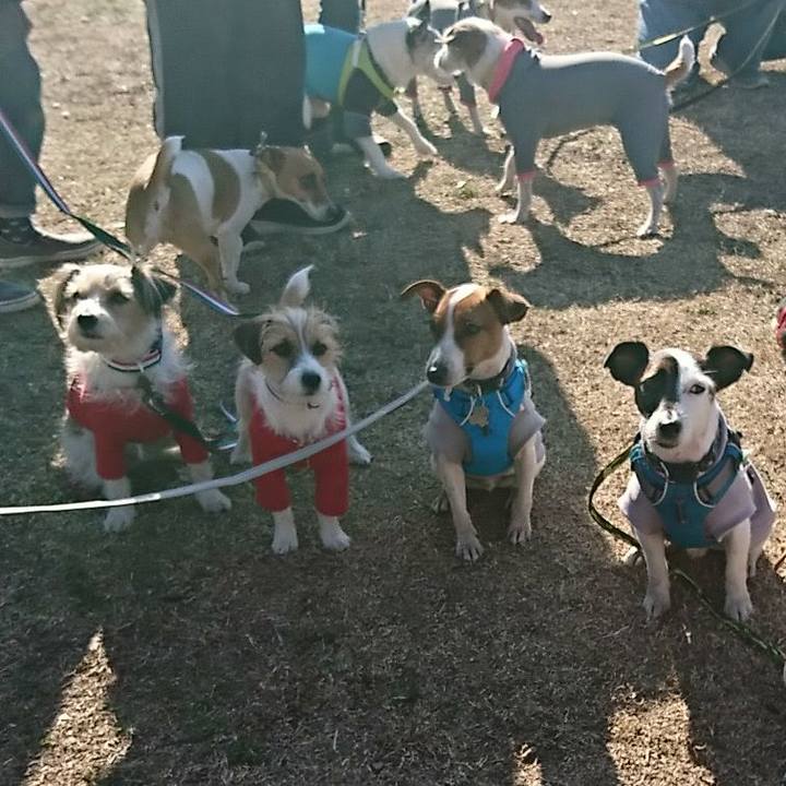 51efcfa0 a4d2 49dd 8761 19673ca31562 1547551818668