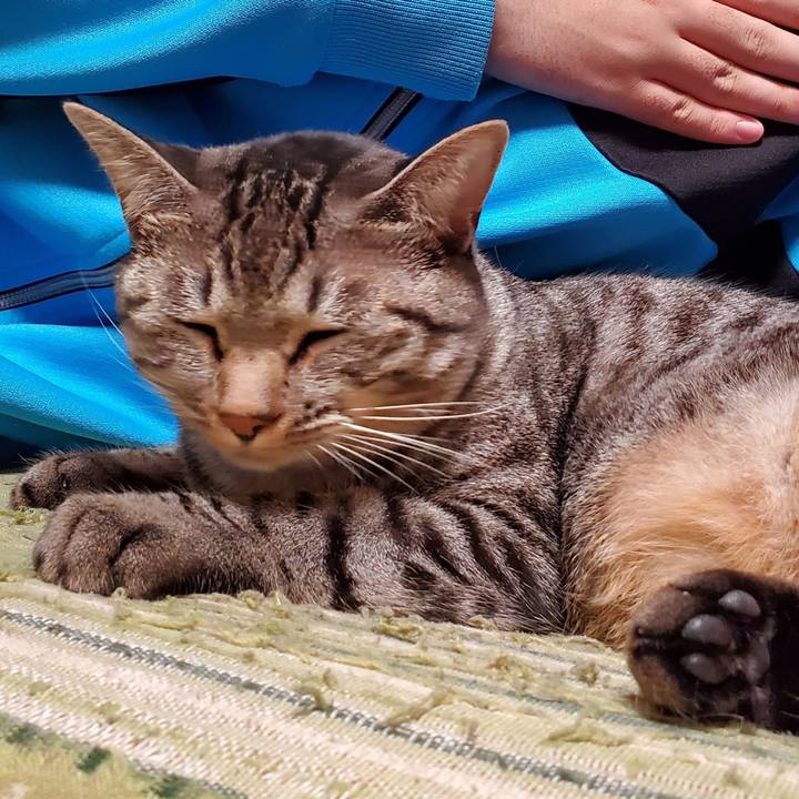 51eff073 cad5 4f08 9694 ff1cc87e87e0 1699890999352