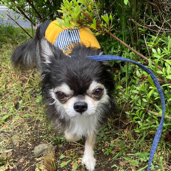 51effd0e 5e89 465a 9851 f66395524d06 1681619904358