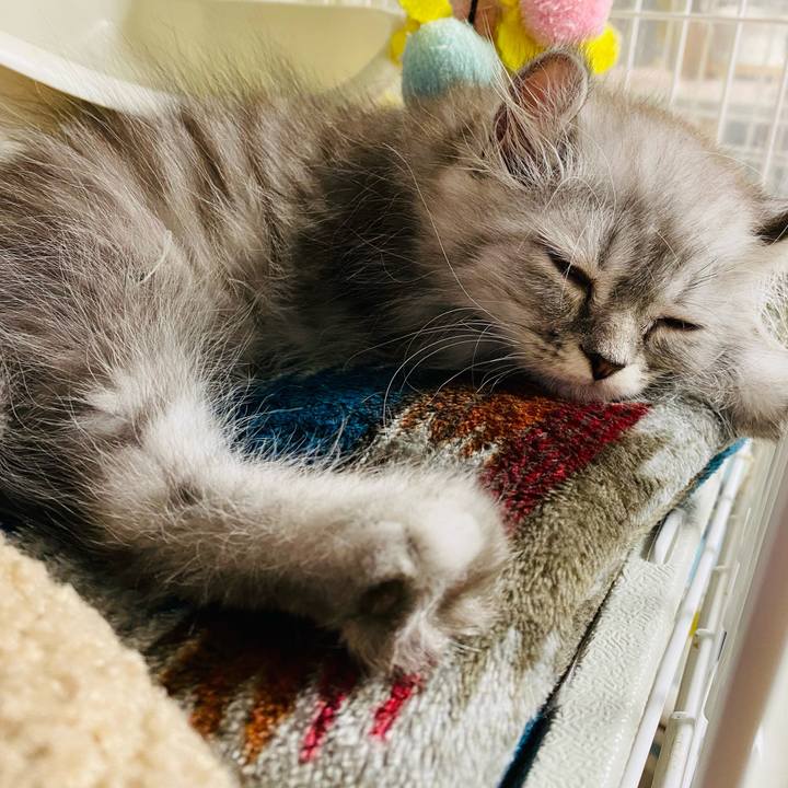 51f006a1 b89a 46d0 ad70 cde3869662f7 1708961007352