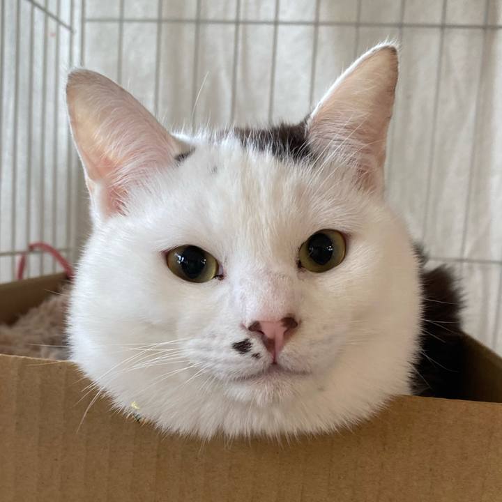 51f0089b 5637 491e a34d ce8d4a5a7136 1704855193911