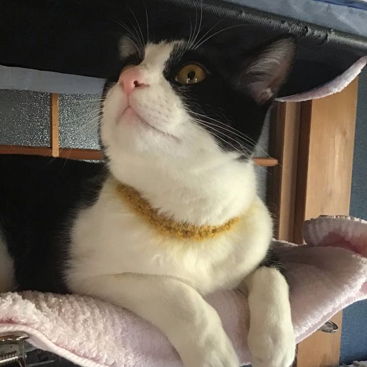 51f00b3e 17b2 4fef b589 3b2b29a73fc9 1649235769743