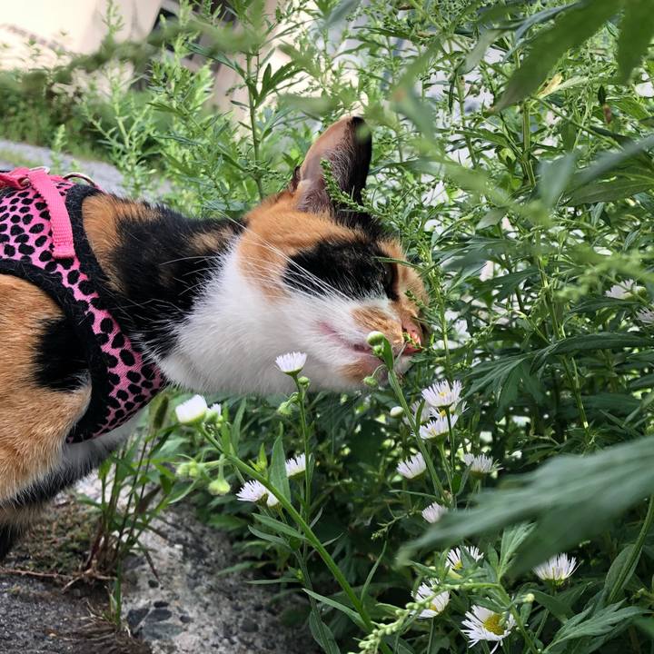 51f00ef7 ed77 4133 830d 7c507ec8ce01 1535927387874