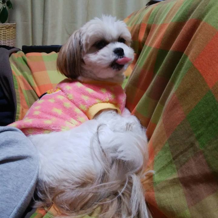 51f01159 4163 4b31 95b8 f46ea91f9d87 1514718543463