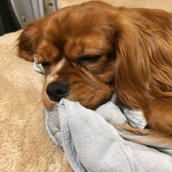 51f03066 a927 4a23 a72b 597a0e8f891d 1518531869512