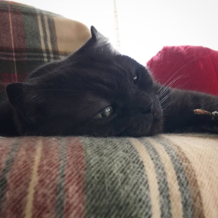 51f03bbc 8065 4260 9db9 536634e5ff30 1526189965504