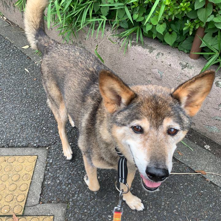 51f0430d 402b 4139 8de4 c8d821749133 1562207941435