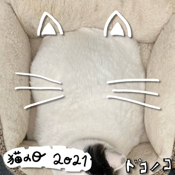 51f053f3 8875 4274 93b1 ffef92066ade 1613996469599