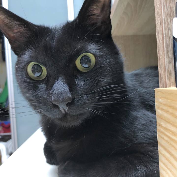 51f08fcd e22c 4503 9019 77df374fb2f8 1620483461820