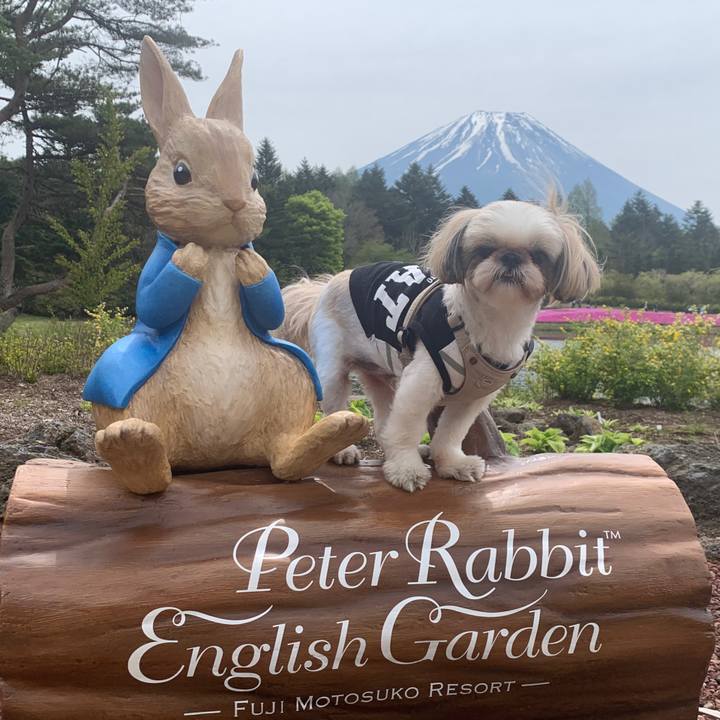 51f0bf6a 6fc5 45c3 bb19 abb615f10649 1651841246762