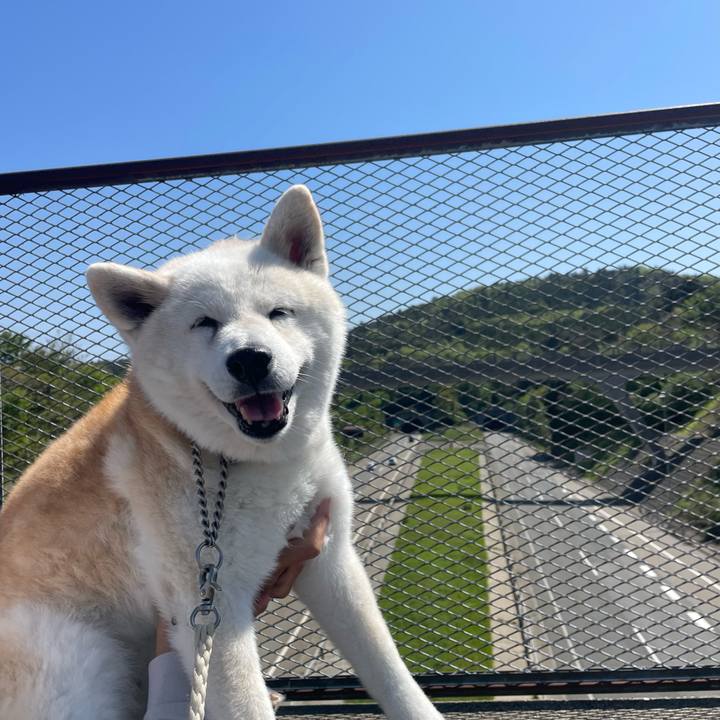 51f14f91 e4c6 4578 b652 d41777764941 1714699923688