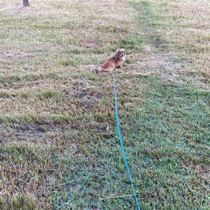 51f16537 7dc5 4bd8 84cc 01d8b25dfa86 1603750723885