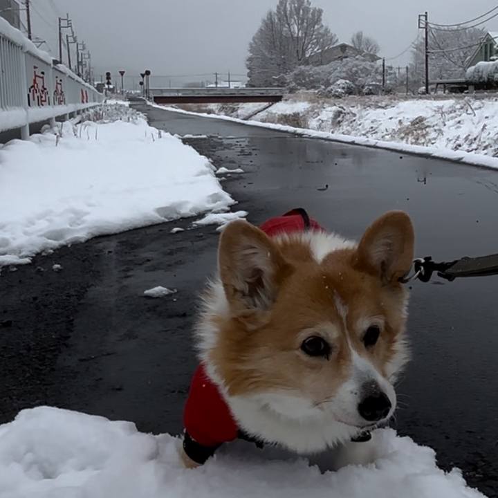 51f17716 7b90 43b1 ac73 24db81650ae1 1770512470029