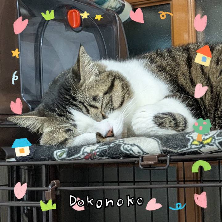 51f19a0a c17b 48df 88fd 77e8660a8fdf 1741561329148