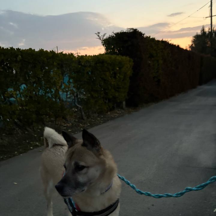 51f1b7f9 cfe6 40b0 8201 cb8fd33924e8 1737460496204