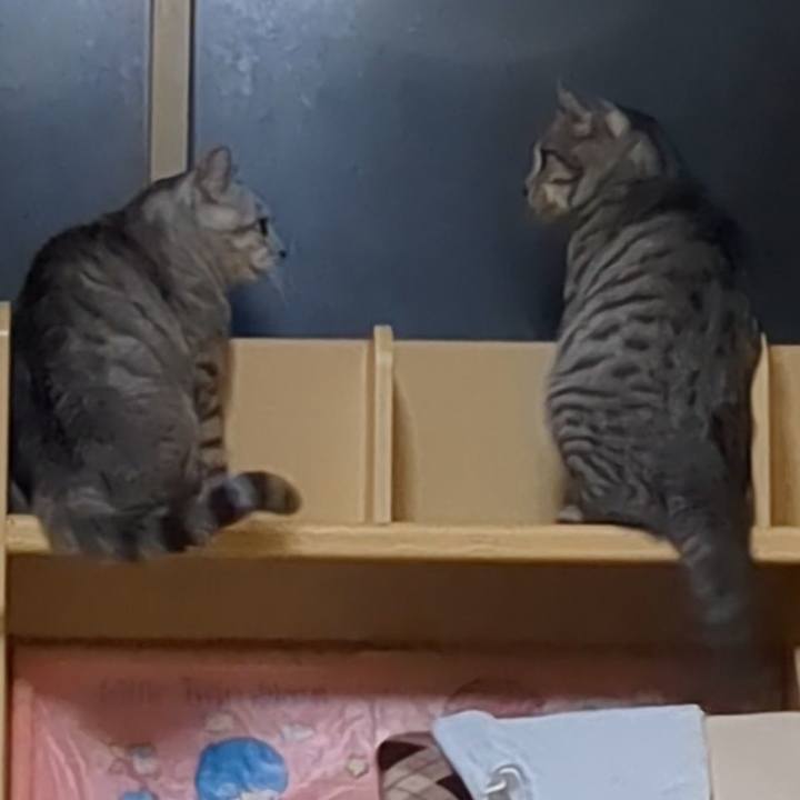 51f1e80f 85c1 41b8 b792 93efd01591f1 1733374384404