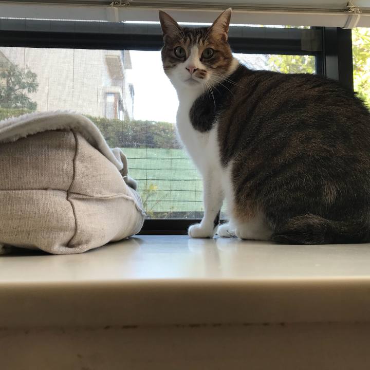 51f1f86e 0fcb 4383 8280 8df0e9d77eaf 1515042929084