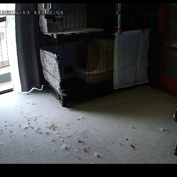 51f1f94a b330 4740 9ba8 39668ef34da6 1557716020160