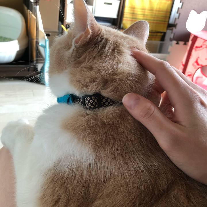 51f2247e 298a 47ed 8264 5b6039afb386 1604798108203