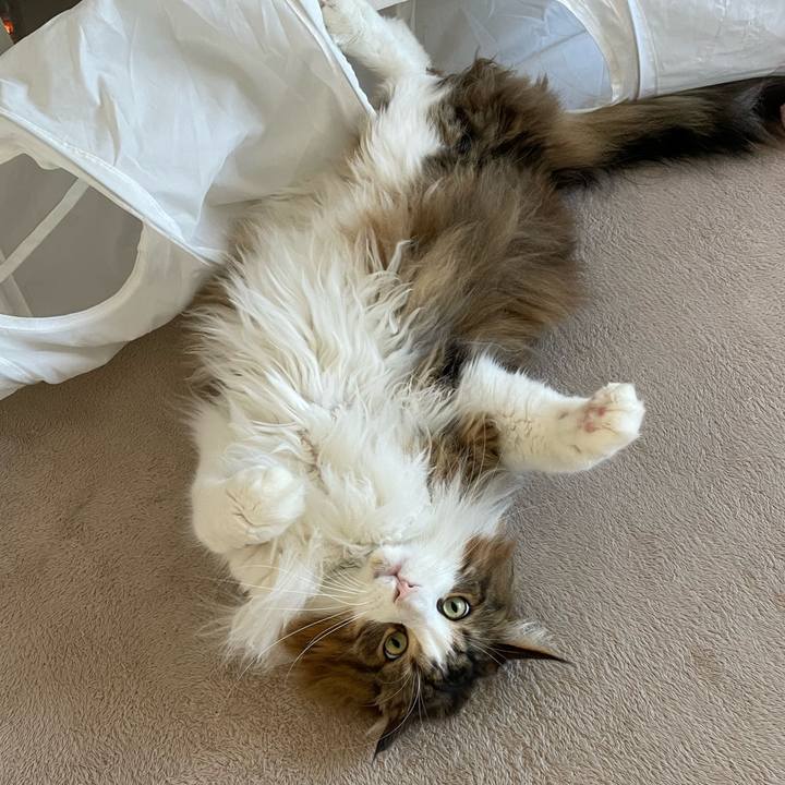 51f24988 6815 484e 8278 568f631ad864 1717275830412