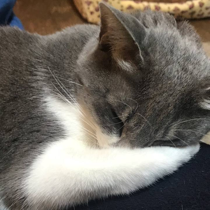 51f26179 04fa 40ea a85c feb90c401782 1552902102386