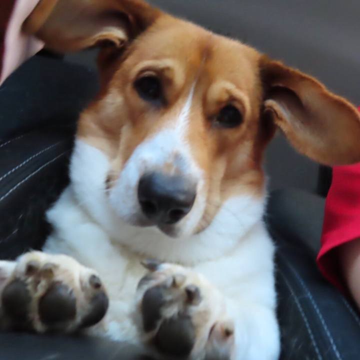 51f28486 f2bb 4cdb a6f6 e8d3c7c61a50 1626217494233