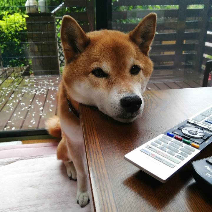 51f2997c 0043 4ea5 b3e4 36ef6b409e65 1683446650335