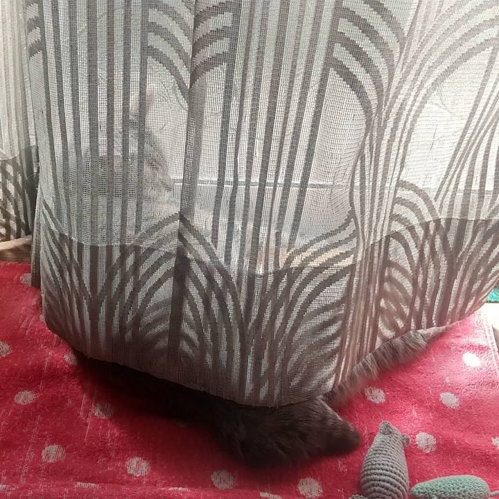 51f29e10 adc6 433c bbae e7bd5e41d0f0 1682550905416