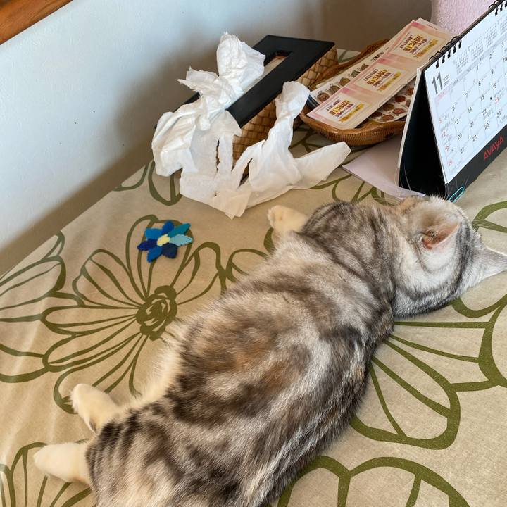 51f2acff 4610 488a 9cf1 9aa390af19c7 1709120251084