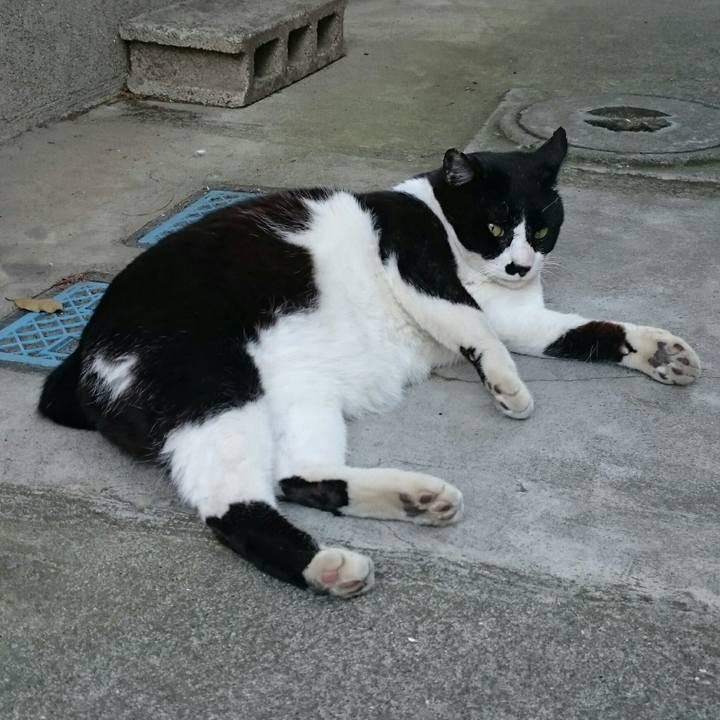 51f2e7e9 efd6 467a a528 6c49d5e7f434 1525057402977