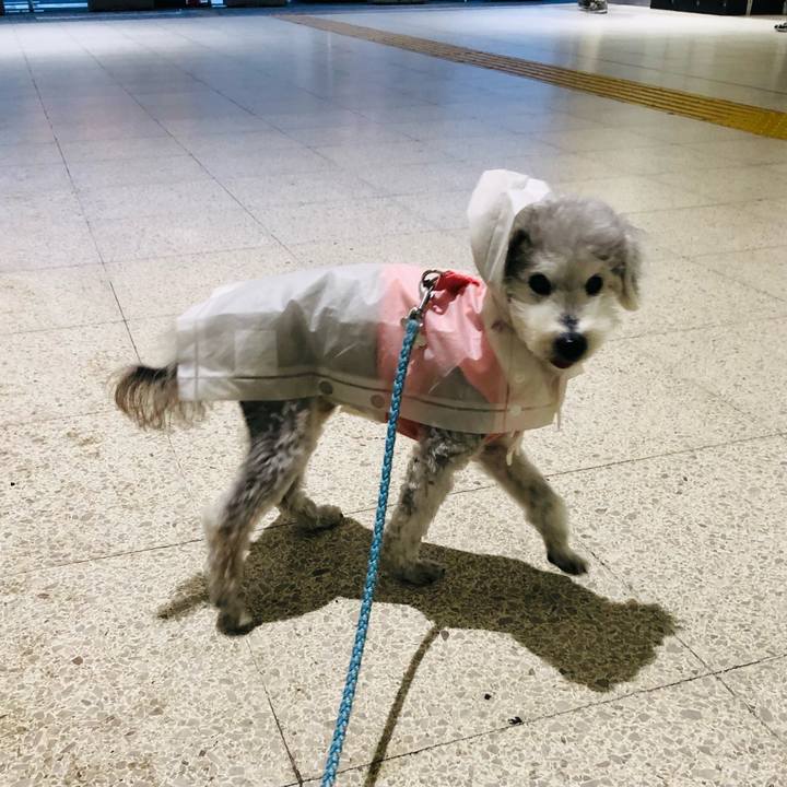 51f32181 9df1 4537 824c e2a024da4814 1652658830650